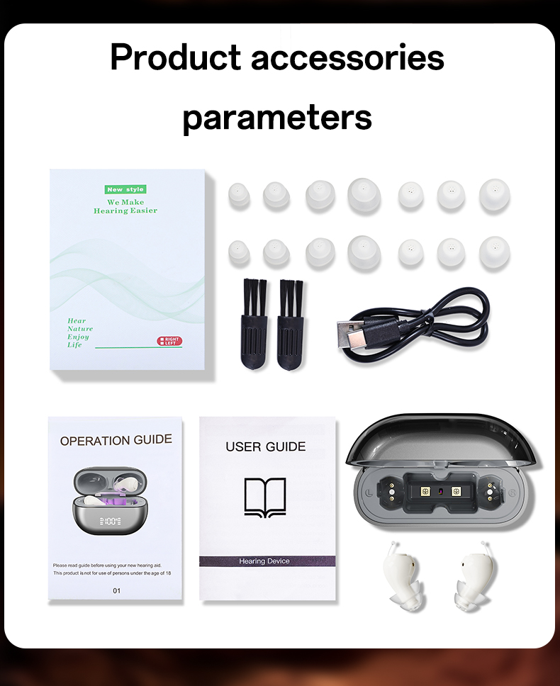 GM-955 hearing aid accessories and charging case