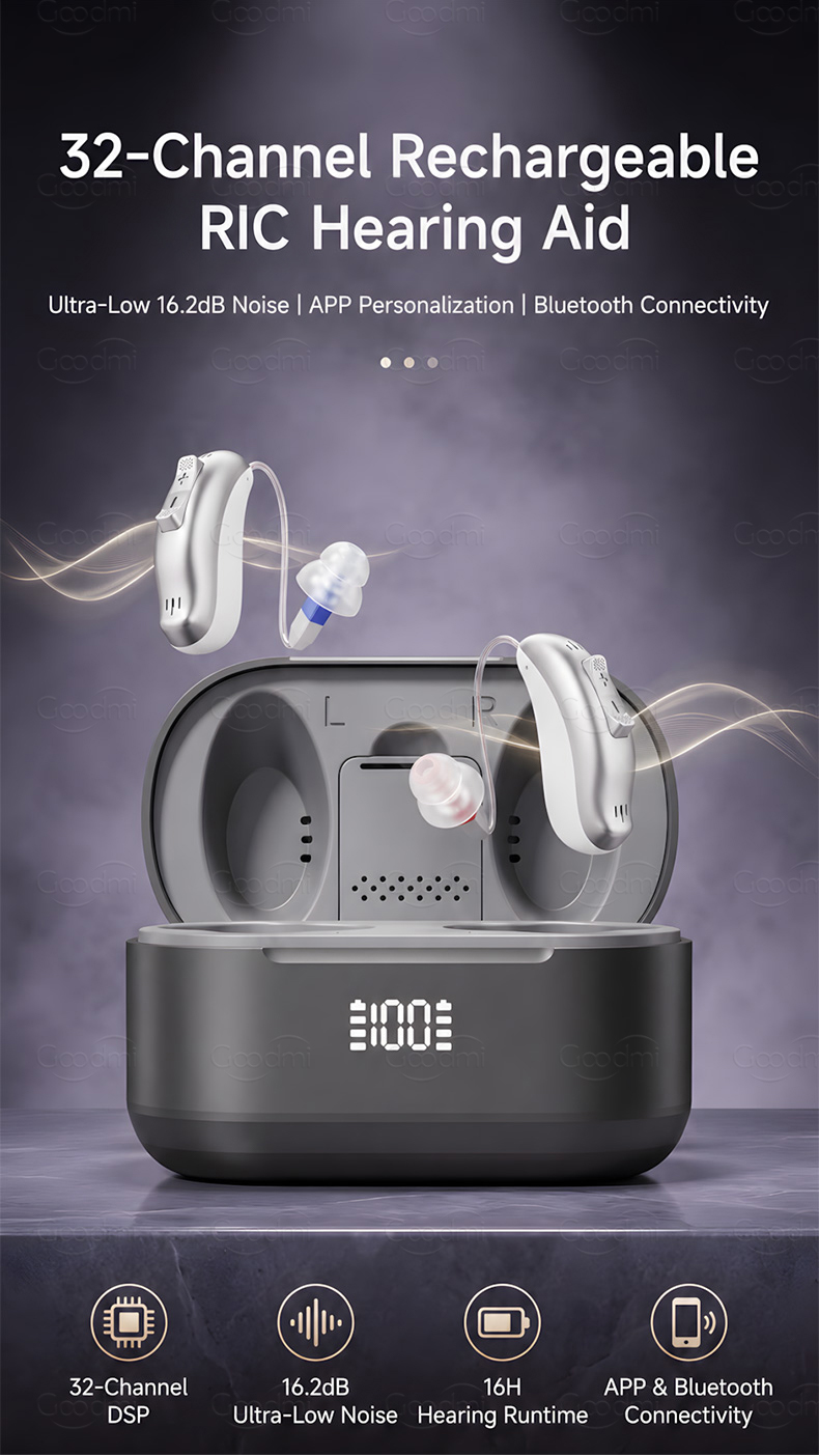 GM-321 (3U3-2) 32-channel rechargeable digital hearing aid with charging case